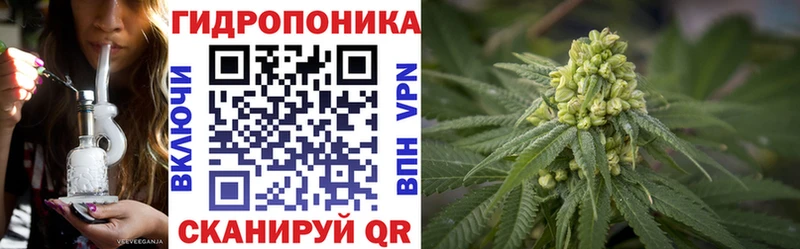 Что такое Перевоз Бошки Шишки  Меф мяу мяу  COCAIN  Codein  ГАШ 